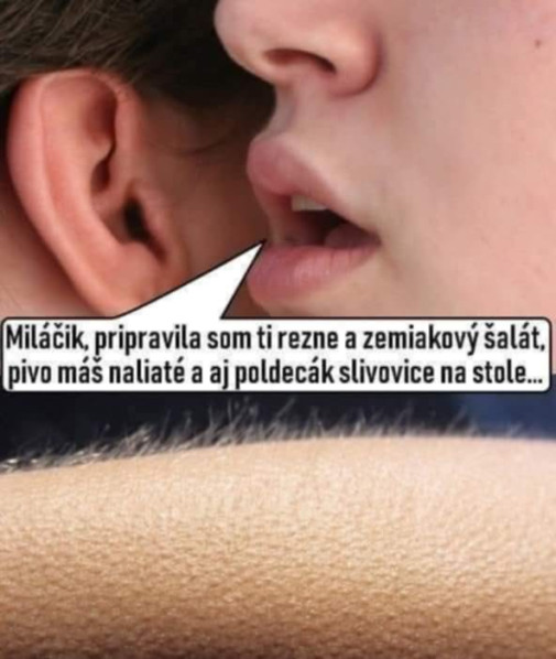 Nebo na zemi