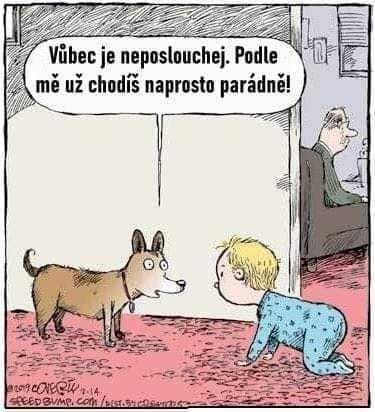 Všetko je relatívne