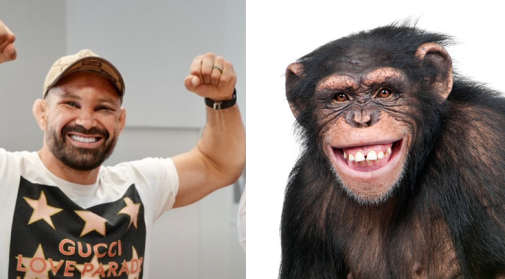 Podobnosť náhodná